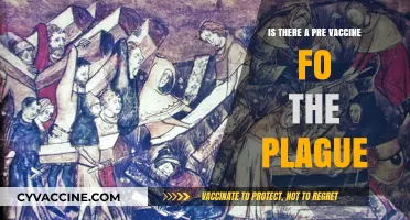 Exploring the Existence of a Pre-Vaccine for the Plague