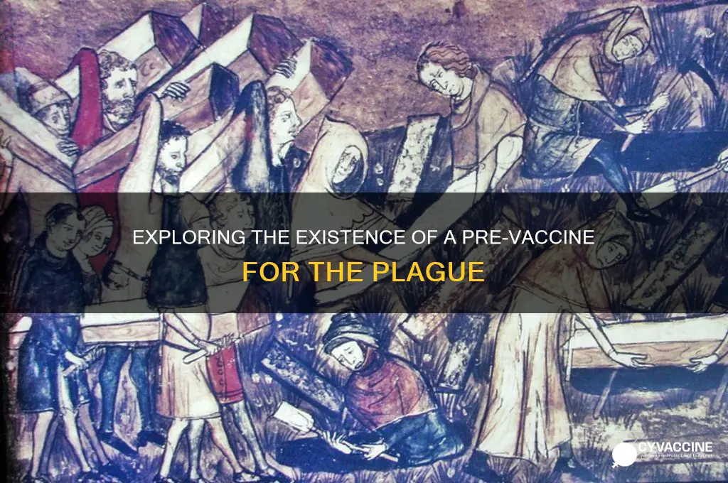 is there a pre vaccine fo the plague