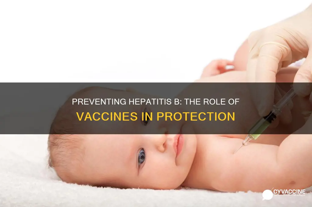 is there a preventable vaccine for hepatitis b