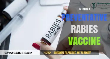 Rabies Prevention: The Power of Vaccination