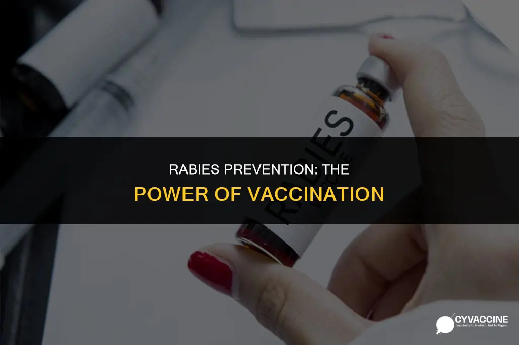 is there a preventative rabies vaccine