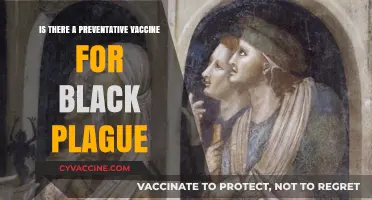 Preventing Black Plague: Exploring the Potential of a Vaccine