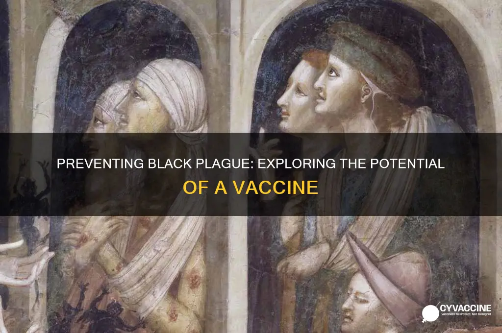 is there a preventative vaccine for black plague