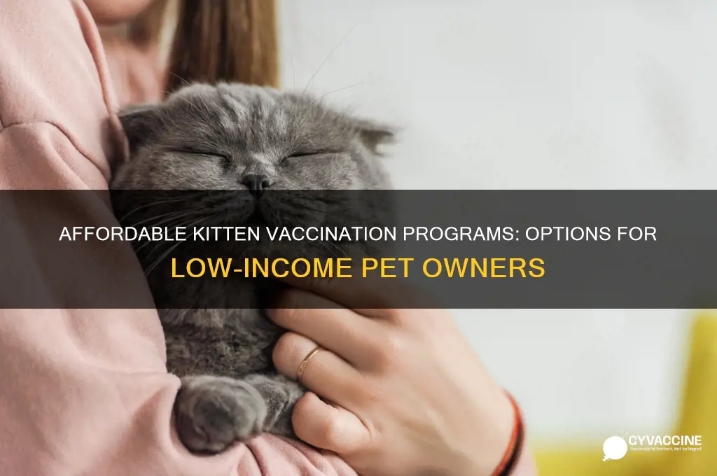 is there a program to vaccinate kittens for low income