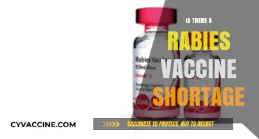 Addressing Concerns: The Truth About Rabies Vaccine Availability