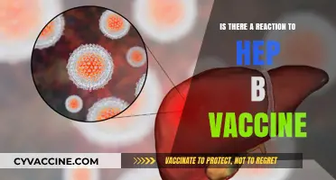 Hepatitis B Vaccine Reactions: What You Need to Know