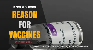 Vaccines and Health: Uncovering the Science Behind Immunization Benefits