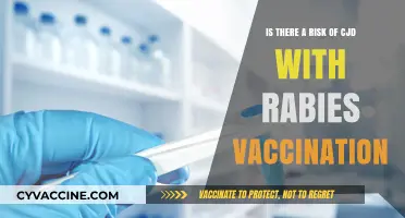 Rabies Vaccination and CJD: Unraveling the Potential Risk Connection