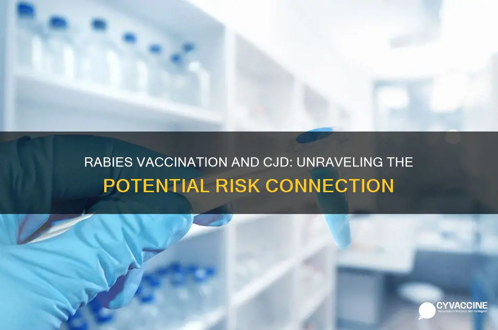is there a risk of cjd with rabies vaccination