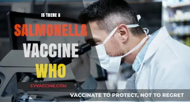 Protecting Yourself from Salmonella: The Vaccine You Need to Know About