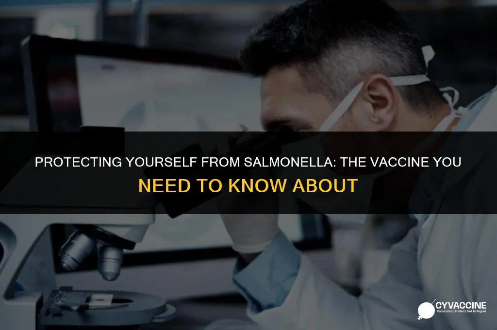 is there a salmonella vaccine who
