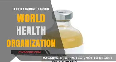 WHO's Role in Salmonella Vaccines: Current Status and Future Prospects