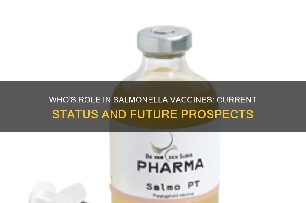 is there a salmonella vaccine world health organization