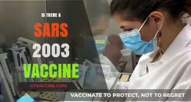 Exploring the Legacy of SARS-CoV: Vaccine Developments and Future Prospects