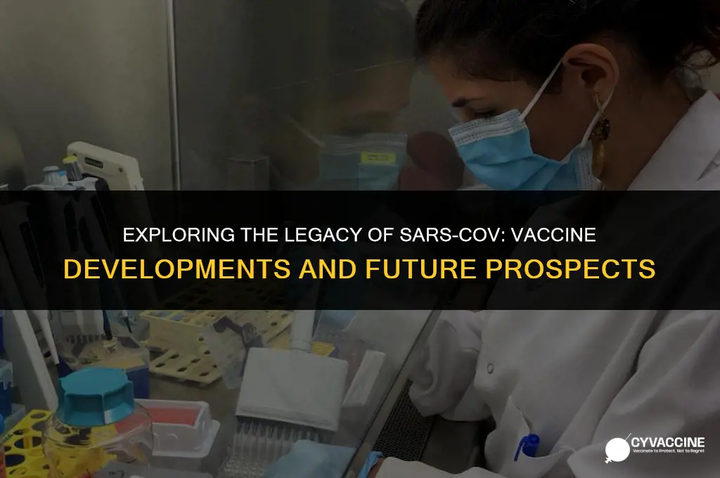 is there a sars 2003 vaccine