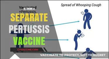Exploring Pertussis Vaccination: Is There a Standalone Option?