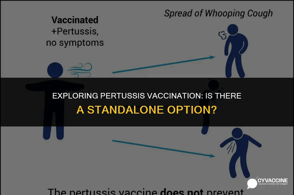 is there a separate pertussis vaccine