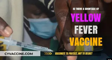 Yellow Fever Vaccine Shortage: Causes, Impact, and Global Health Concerns