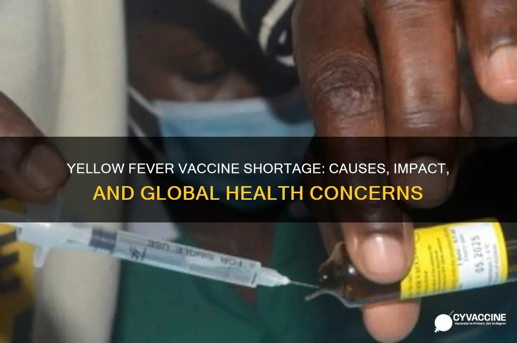 is there a shortage of yellow fever vaccine