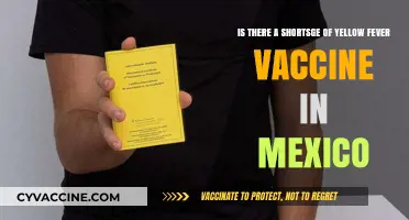 Yellow Fever Vaccine Shortage in Mexico: Causes and Solutions