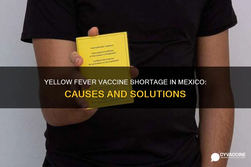 is there a shortsge of yellow fever vaccine in mexico