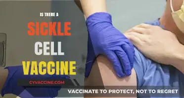 Exploring the Possibilities: Is There a Sickle Cell Vaccine?