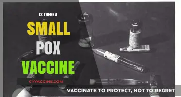 Exploring the Truth: Does a Smallpox Vaccine Exist?