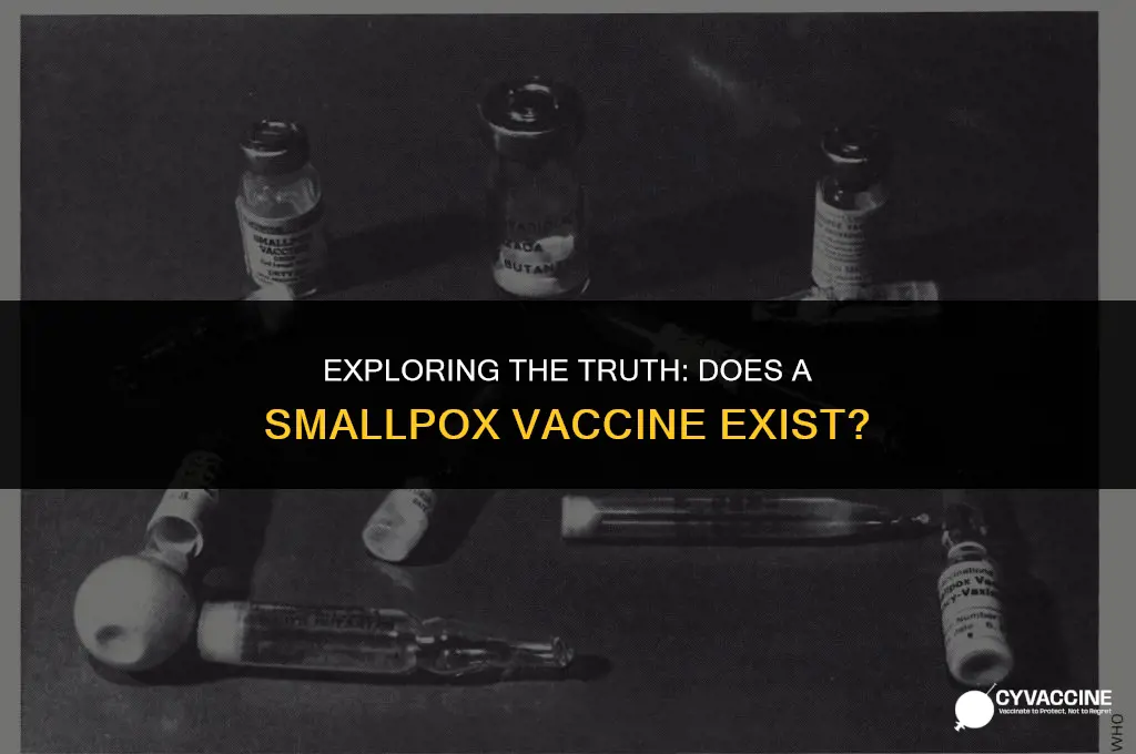is there a small pox vaccine