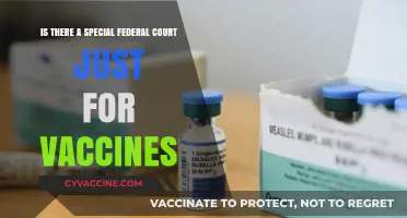 Do Vaccines Have Their Own Special Federal Court?