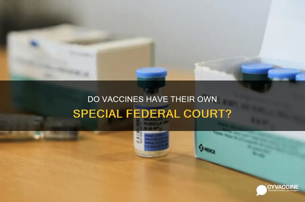 is there a special federal court just for vaccines