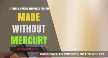 Mercury-Free Influenza Vaccines: Are There Safer Options Available?