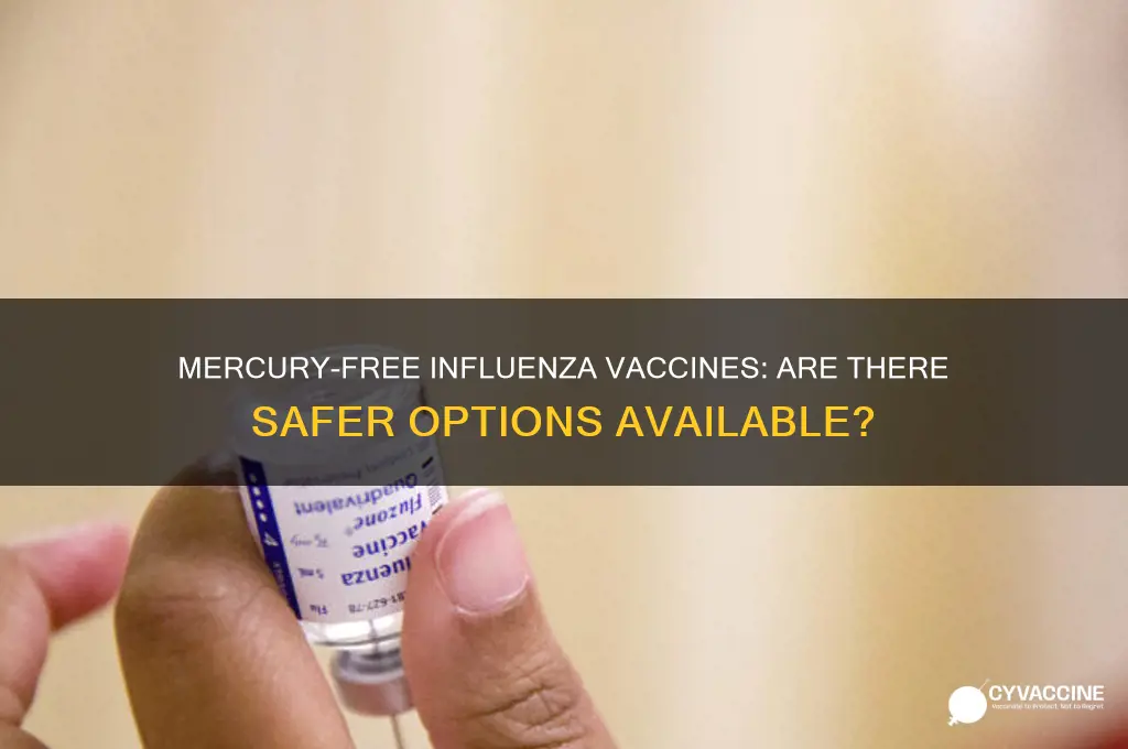 is there a special influenza vaccine made without mercury