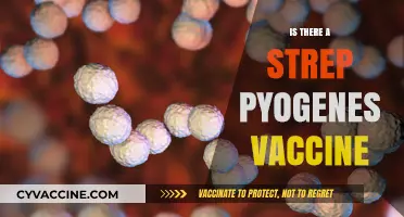 Exploring the Quest for a Strep Pyogenes Vaccine: Hope on the Horizon?