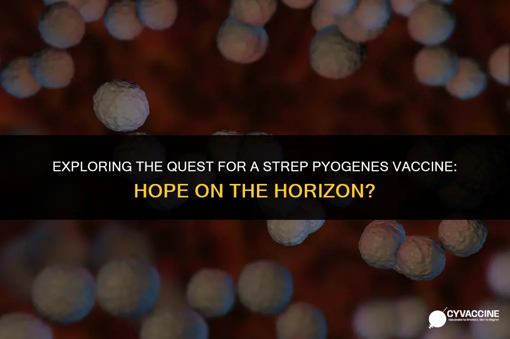 is there a strep pyogenes vaccine