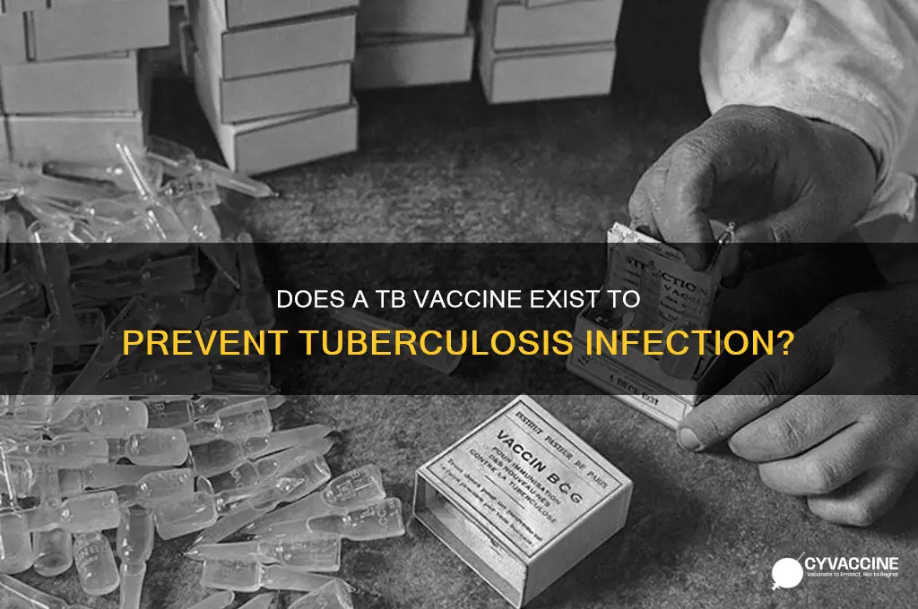 is there a tb vaccine to keep you from gettingit