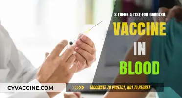 Can Gardasil Vaccine Be Detected in Blood Tests? Facts Revealed