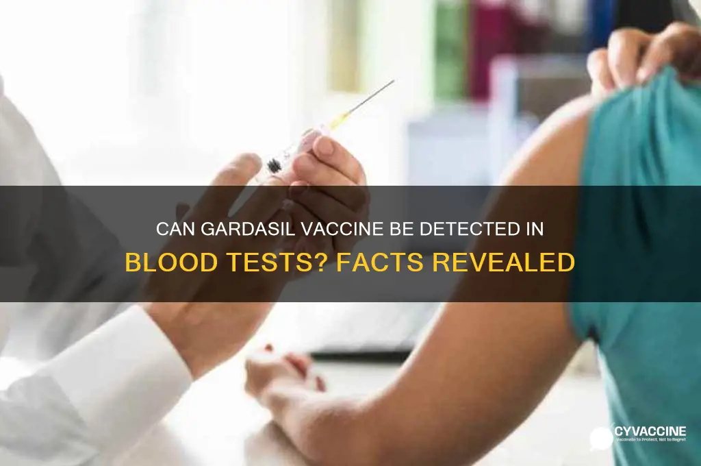 is there a test for gardasil vaccine in blood