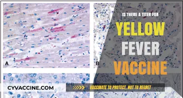 Does a Titer Test Exist for Yellow Fever Vaccine Immunity?