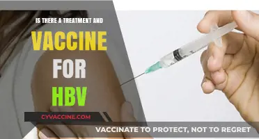 HBV Treatment and Vaccine: Current Options and Future Prospects