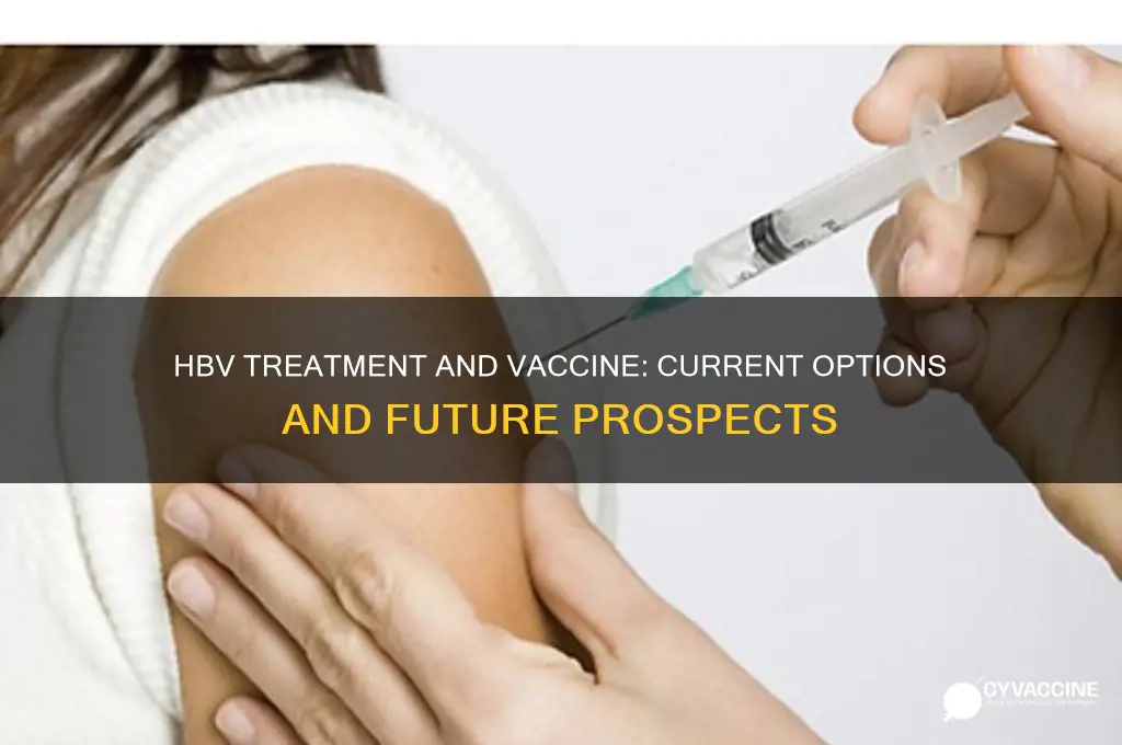 is there a treatment and vaccine for hbv