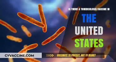Does the US Have a Tuberculosis Vaccine? What You Need to Know
