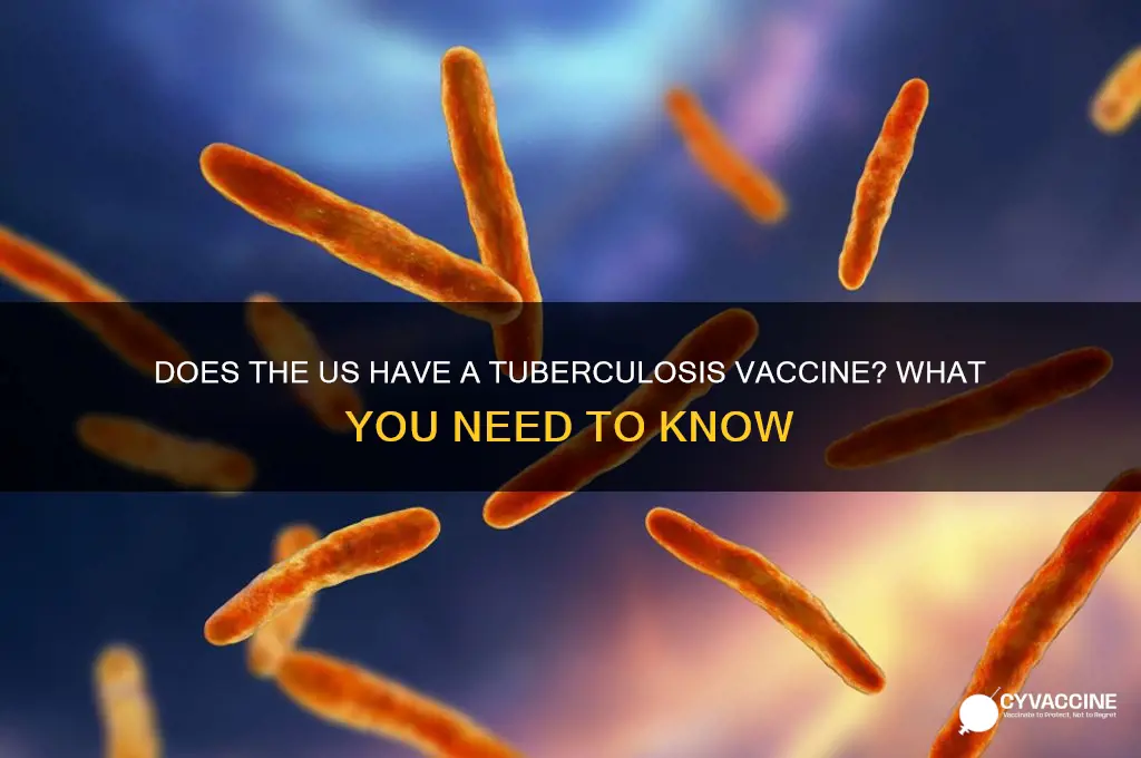 is there a tuberculosis vaccine in the united states