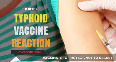 Exploring Typhoid Vaccine Reactions: What You Need to Know
