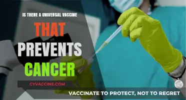 Exploring the Possibility of a Universal Cancer-Preventing Vaccine