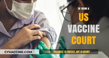 Exploring the Existence of a US Vaccine Court: Facts and Myths