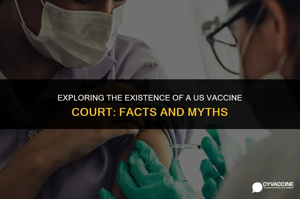 is there a us vaccine court