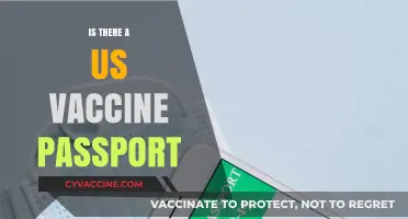 Exploring the Existence and Implications of a US Vaccine Passport