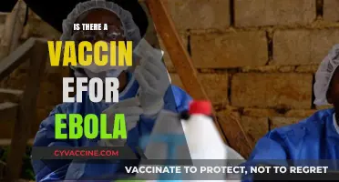 Exploring the Quest for an Ebola Vaccine: Hope on the Horizon