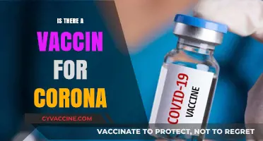 Exploring the Latest: Is There a Vaccine for Coronavirus?