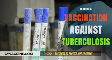 Combatting TB: The Quest for an Effective Tuberculosis Vaccine